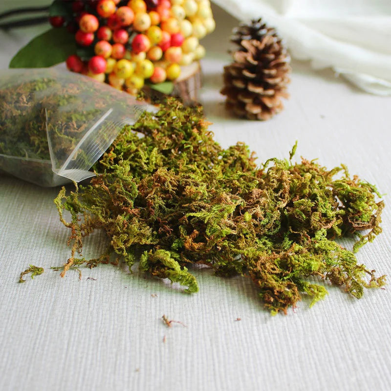 Simulated Moss Landscape Decor WEM Support (www.WEM.support)
