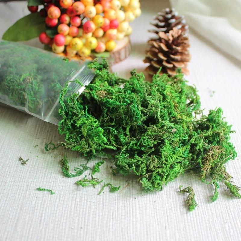Simulated Moss Landscape Decor WEM Support (www.WEM.support)