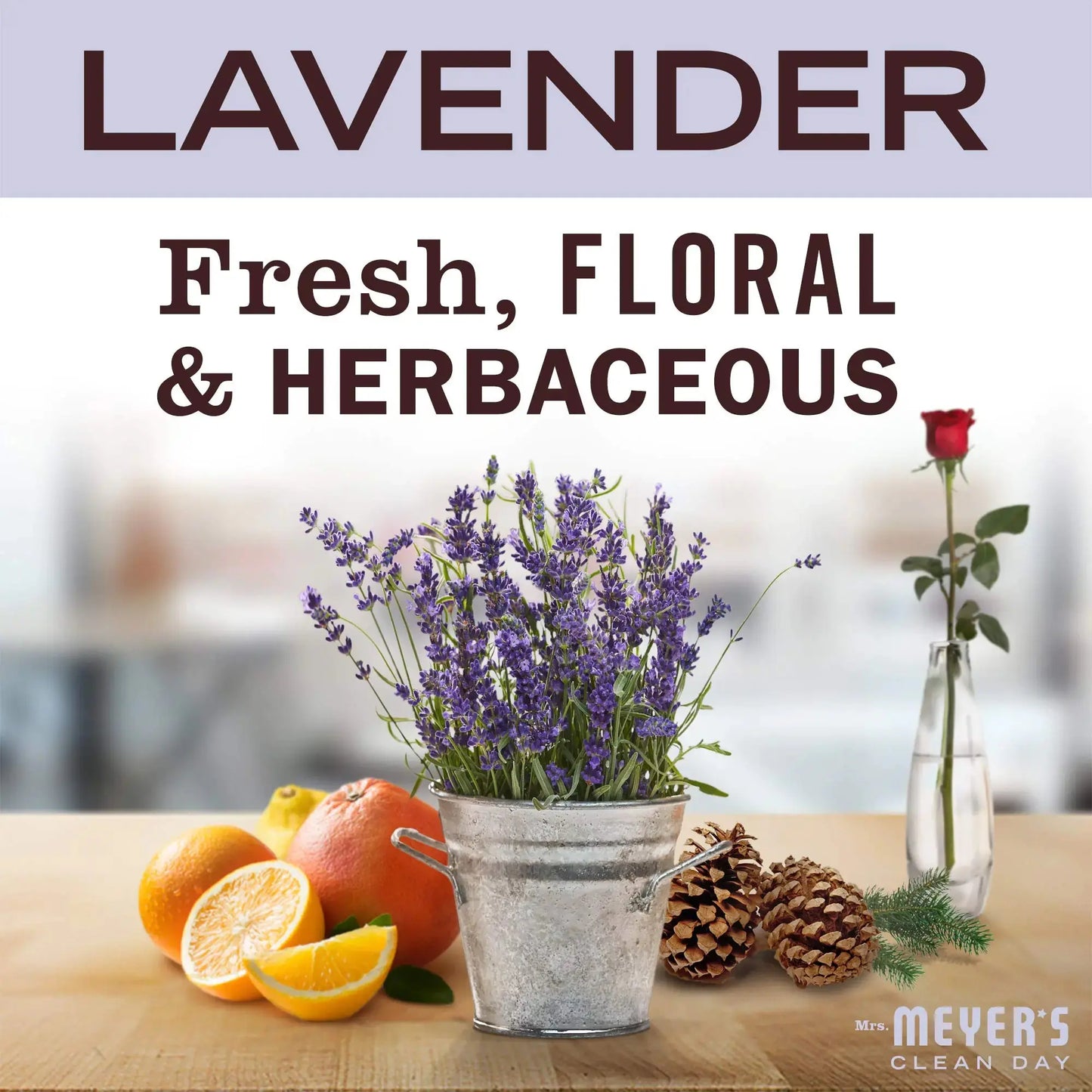 Mrs. Meyer's 651318EA Clean Day Liquid Hand Soap Refill, Lavender, 33 oz 33 Fl Oz (Pack of 1) My Store