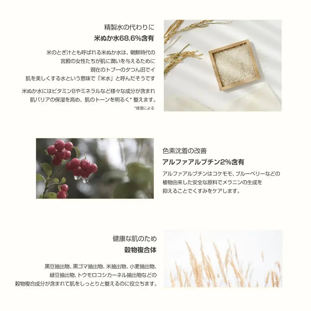 Beauty of Joseon Glow Deep Serum Rice + Alpha-Arbutin My Store